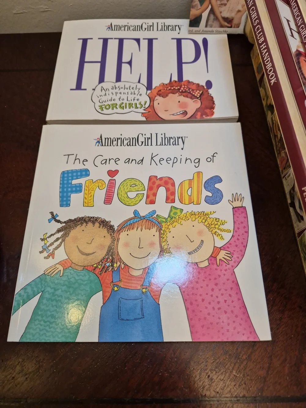 American‎ Girl Handbook & Storybook Set - Burgundy & Cream